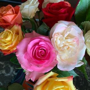 Meet your Posher, Sandra